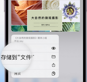 泰来apple维修中心分享iPhone文件应用中存储和找到下载文件