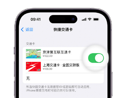 泰来apple维修点分享iPhone上更换Apple Pay快捷交通卡手绘卡面 