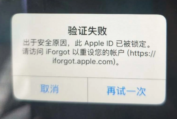 泰来iPhone维修分享iPhone上正常登录或使用AppleID怎么办 