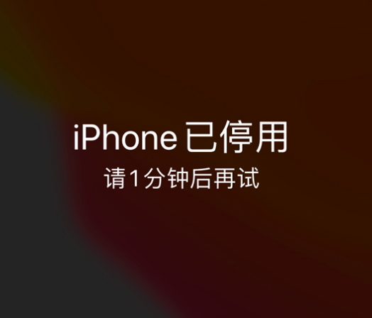 泰来苹果手机维修分享:iPhone 显示“不可用”或“已停用”怎么办？还能保留数据吗？ 