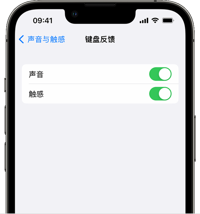 泰来苹果14维修店分享如何在 iPhone 14 机型中使用触感键盘 