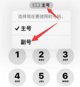 泰来苹果14维修店分享iPhone 14 Pro Max使用副卡打电话的方法 