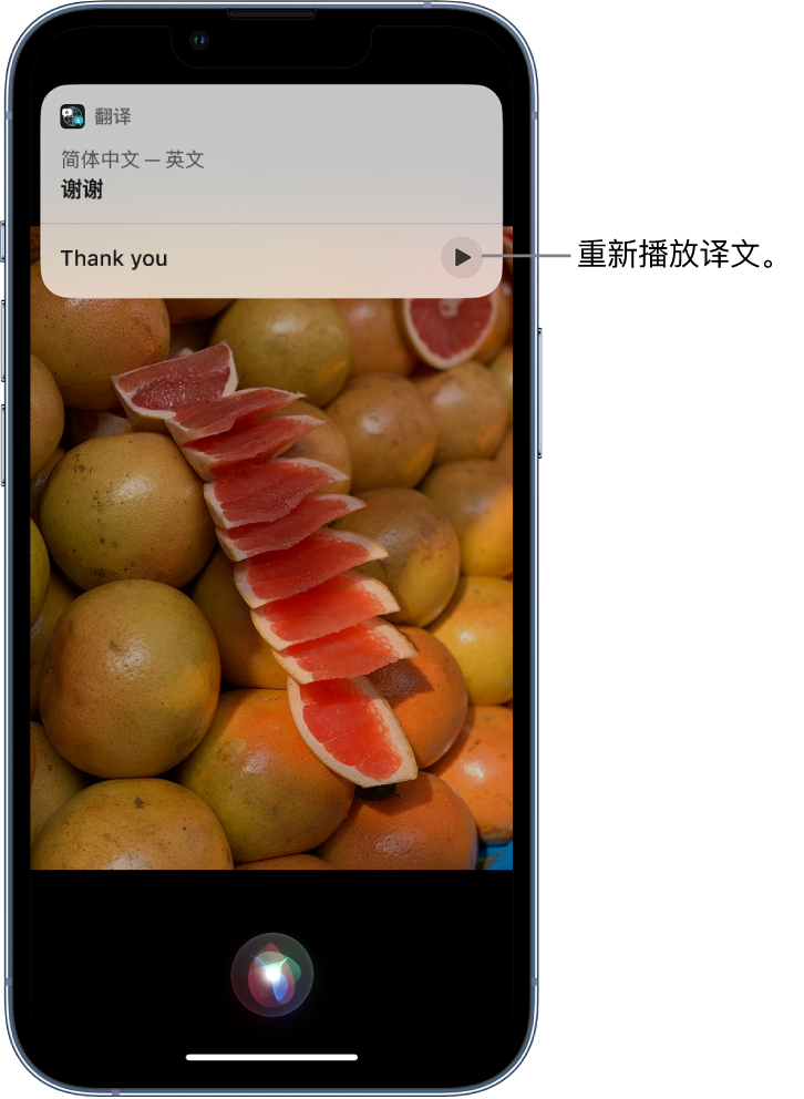 泰来苹果14维修分享 iPhone 14 机型中使用 Siri：了解 Siri 能帮你做什么 