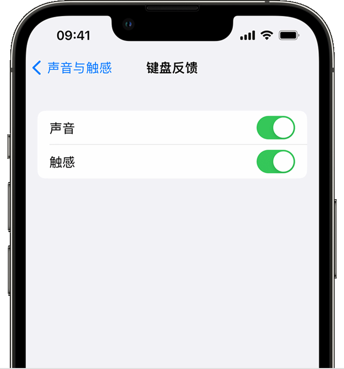 泰来苹果14维修分享iPhone 14 系列机型如何开启键盘声音或触感反馈 