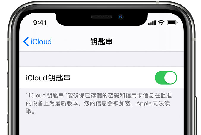 泰来苹果手机维修分享在 iPhone 上开启 iCloud 钥匙串之后会储存哪些信息 