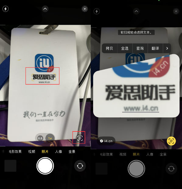 泰来苹果手机维修分享升级iOS 16后如何通过相机翻译文本 