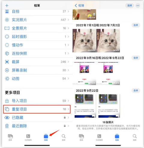 泰来苹果手机维修分享iOS 16 中相册重复项目功能使用方法 