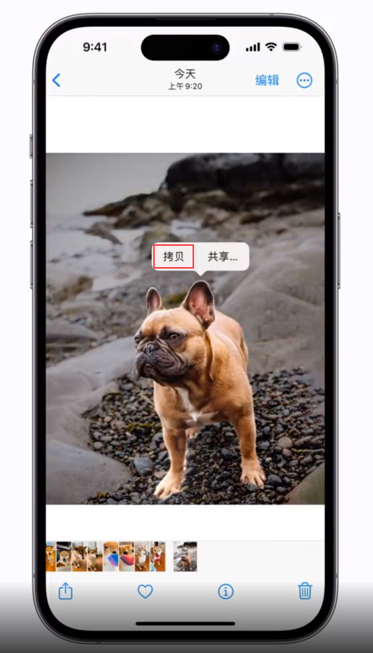 泰来苹果手机维修分享 iOS 16 自带一键抠图功能 