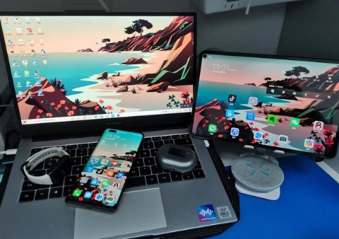 泰来苹果手机维修分享为什么iPad屏幕更大价格却比iPhone低 