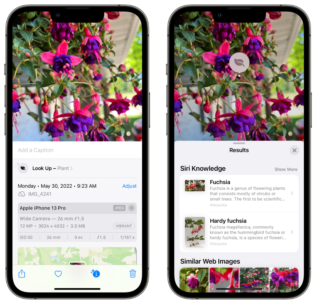 泰来苹果手机维修分享小技巧：使用 iPhone 相机识别花卉植物 