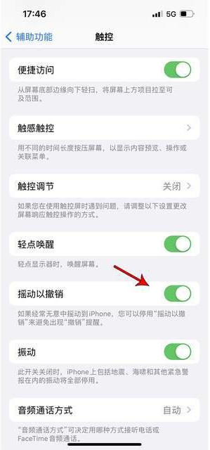 泰来苹果手机维修分享iPhone手机如何设置摇一摇删除文字 