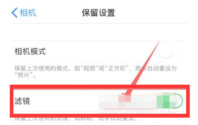 泰来苹果13维修分享iPhone13拍照有绿点是怎么回事 