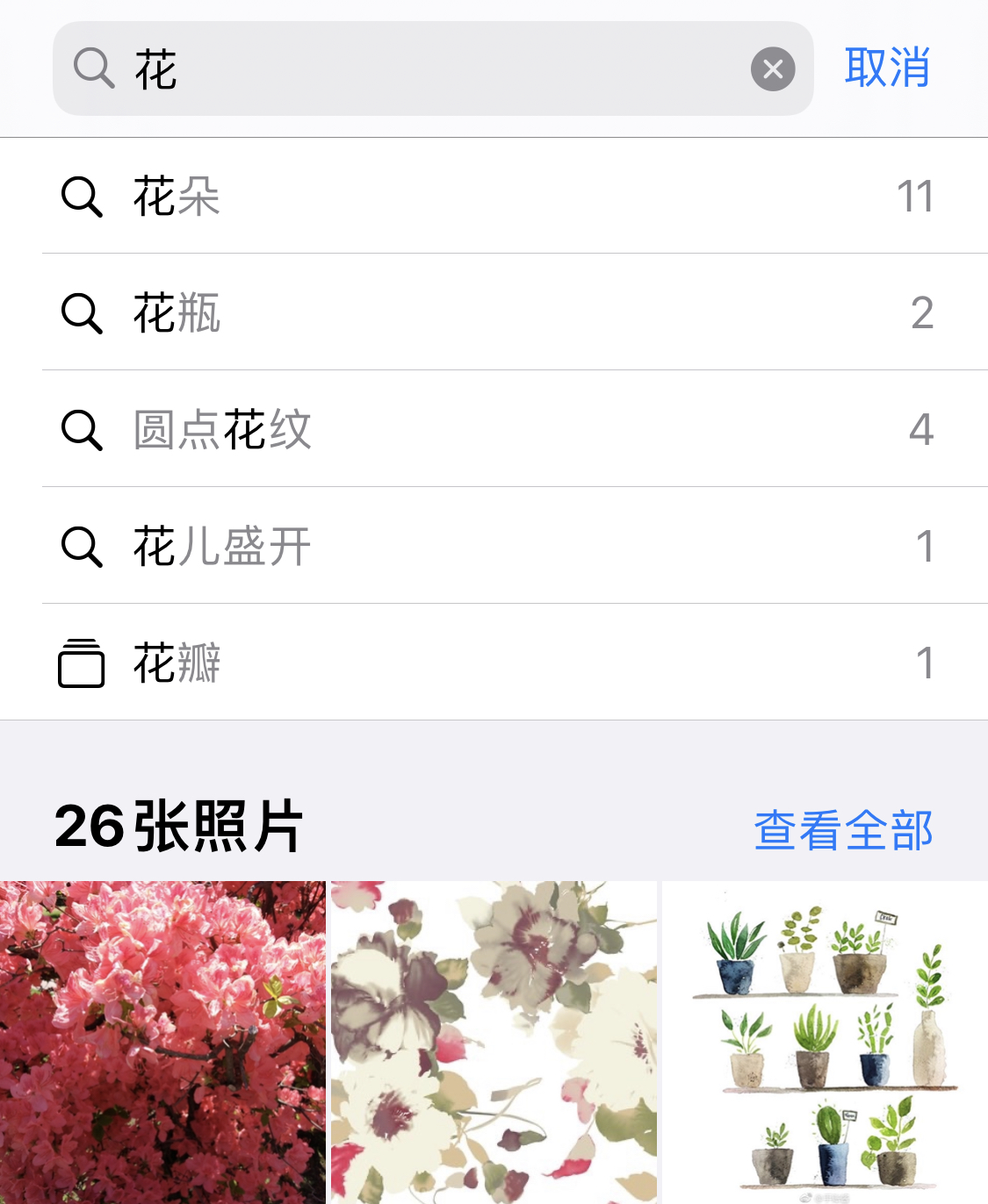 泰来苹果手机维修分享iPhone 小技巧 