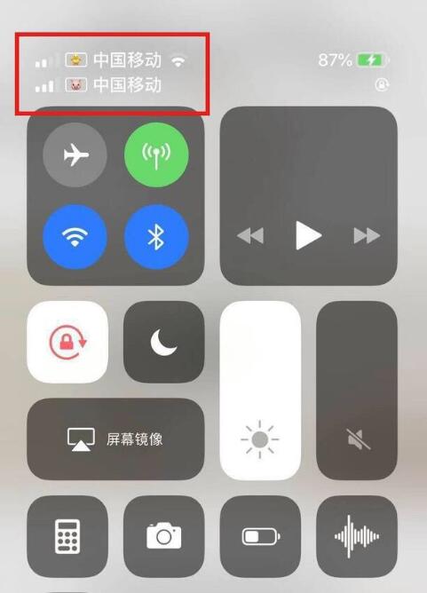 泰来苹果手机维修分享为 iPhone 12 双卡设置标签 