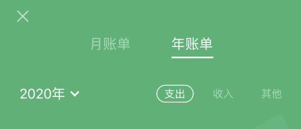 泰来苹果手机维修分享如何在 iPhone 上查看支付宝和微信年支出账单 