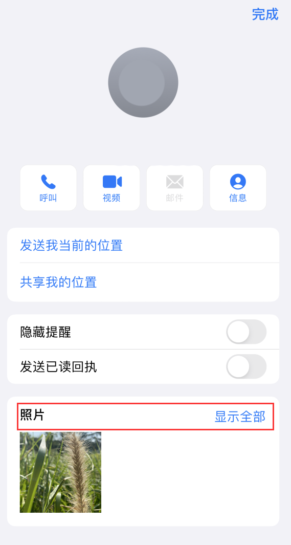泰来苹果手机维修分享如何快速查找 iMessage 信息中的图片等附件 